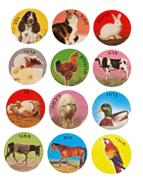 Animal Images Hebrew Names 120 Stickers Children Teaching Aid Israel
