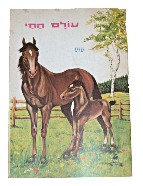Animals World Children Story Book Vintage Hebrew Israel 1960's Naïve Drawings