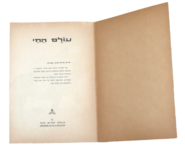 Animals World Children Story Book Vintage Hebrew Israel 1960's Naïve Drawings