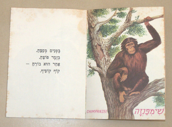 Animals World Children Story Book Vintage Hebrew Israel 1960's Naïve Drawings