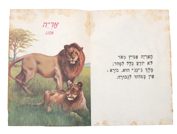 Animals World Children Story Book Vintage Hebrew Israel 1960's Naïve Drawings