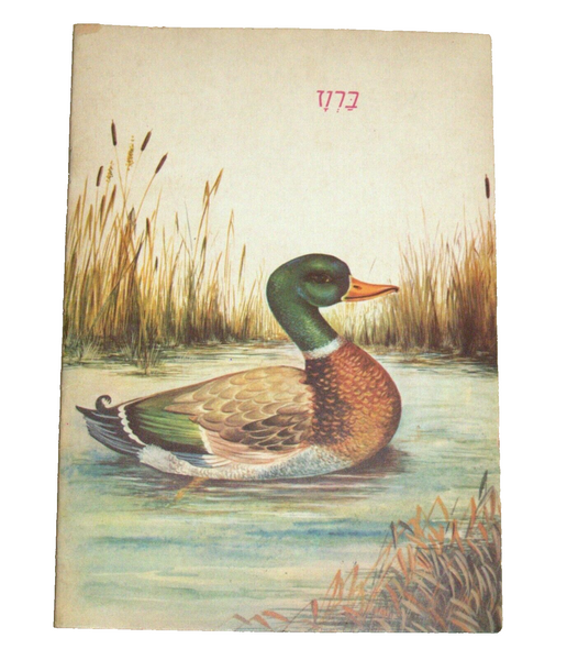 Animals World Children Story Book Vintage Hebrew Israel 1960's Naïve Drawings