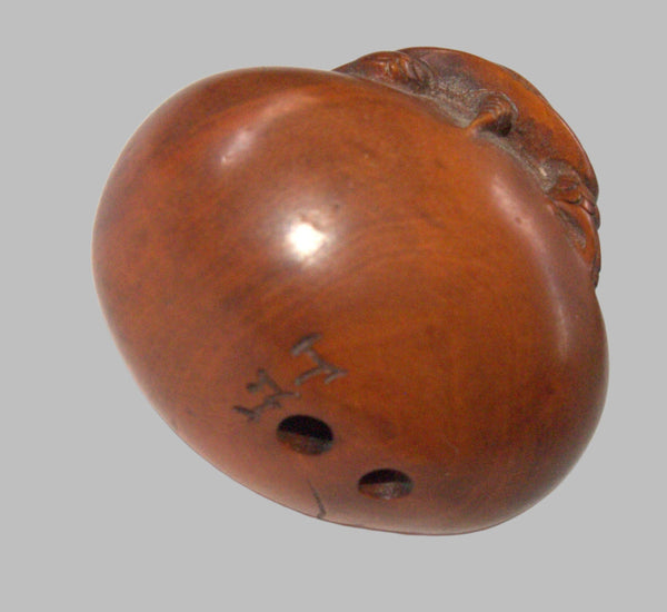 Antique Hand Carved Wood Netsuke Turtle On a Hatching Egg Japan Signed