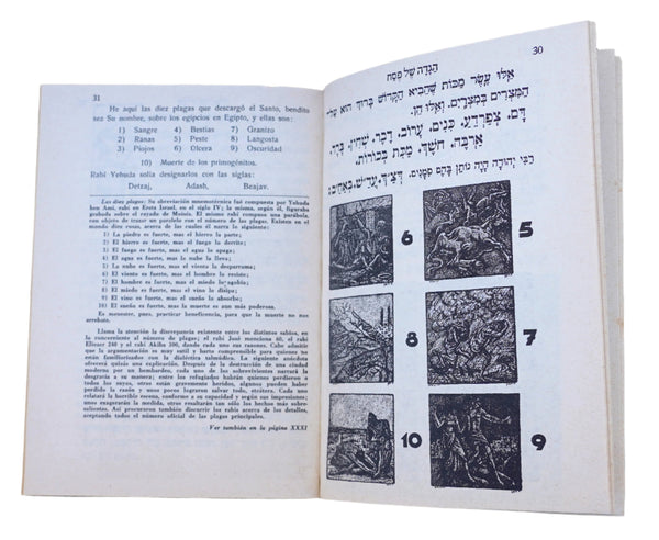Judaica Pesach Passover Illustrated Vintage Haggadah Manual de Pesaj Israel 1978