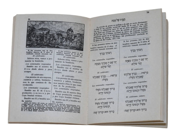 Judaica Pesach Passover Illustrated Vintage Haggadah Manual de Pesaj Israel 1978