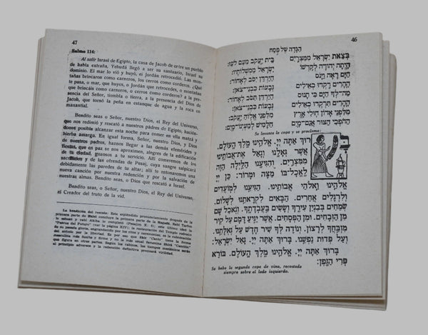 Judaica Pesach Passover Illustrated Vintage Haggadah Manual de Pesaj Israel 1978