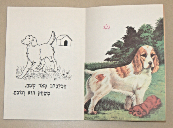 Our Animals Children Story Book Vintage Hebrew Israel 1960's Naïve Drawings