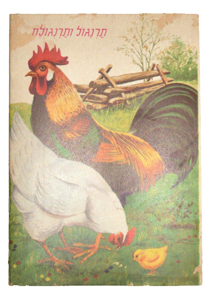Our Animals Children Story Book Vintage Hebrew Israel 1960's Naïve Drawings