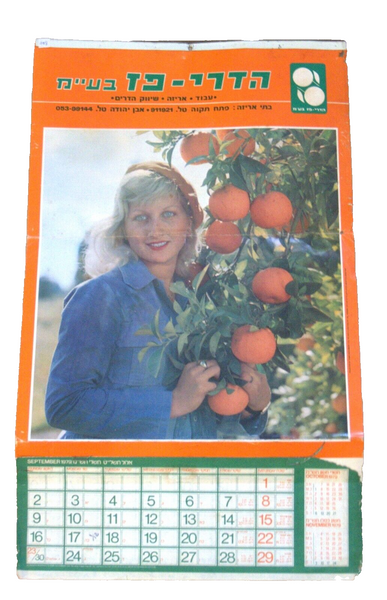Vintage 1979 Israel Calendar Hadarei Paz Orange Citrus Company Judaica