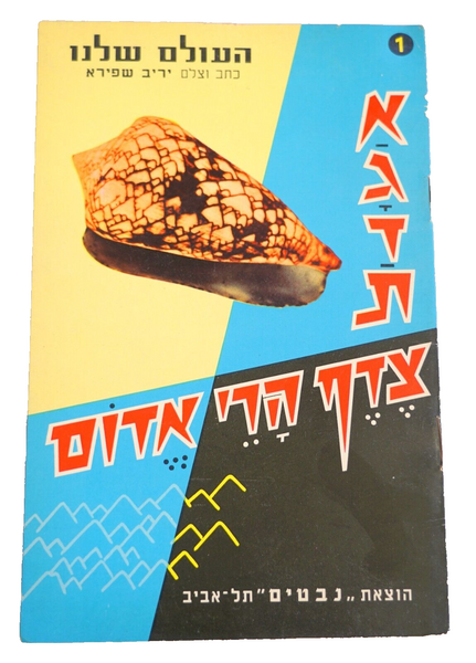 Vintage Hebrew Children Book Mount Edom Shell Legend Judaica Israel 1950's