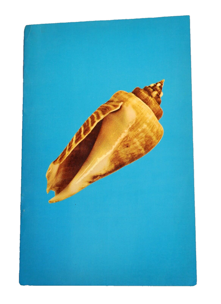 Vintage Hebrew Children Book Mount Edom Shell Legend Judaica Israel 1950's