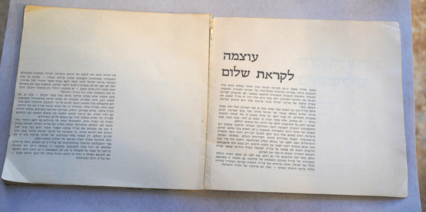 1973 IDF Last Parade in Jerusalem Booklet Photo Album Israel 25 Vintage