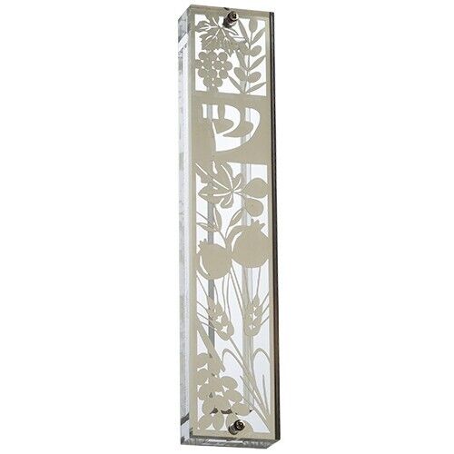 Judaica Mezuzah Case Perspex 7 Species Cut Off Inner Metal Plate 12 cm