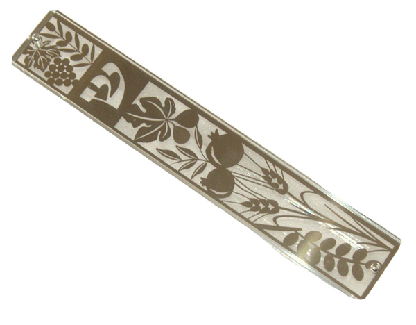 Judaica Mezuzah Case Perspex 7 Species Cut Off Inner Metal Plate 12 cm