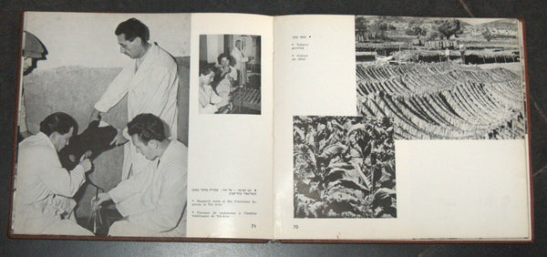 Vintage 1952 Book How Israel Governed Illustrated Hebrew English French Photos