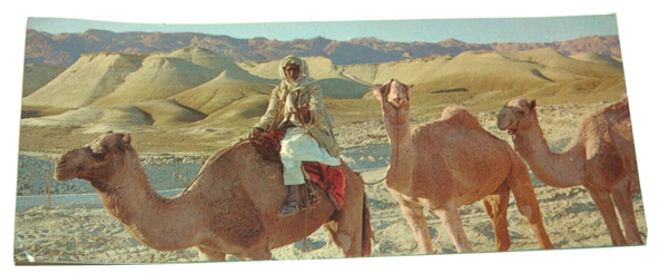 Lot of 3 Vintage Photo Postcards Judaica Beer Sheva Israel South 1960's Isranof
