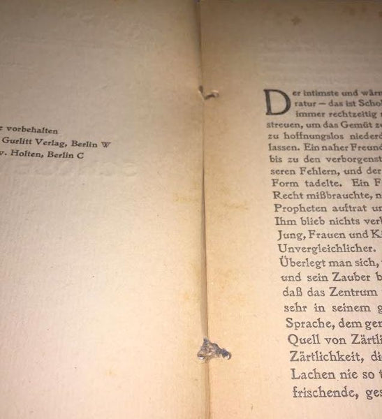Sch. Gorelik Scholem Alechem Antique Book 1920 Judische Bucherei Germany Judaica
