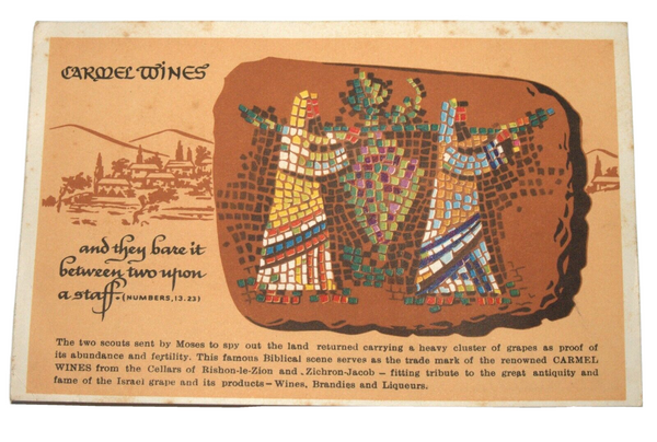 Vintage Carmel Winery NY Branch Advertising Postcard Judaica Israel Early 1960's