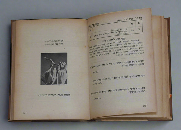 1954 Israel Hebrew Moladeti Yearly Illustrated Photo Book Herzl Memorial Vintage