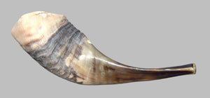 Judaica Shofar Kosher Ram's Horn High Quality Half Polished Natural 9 inch