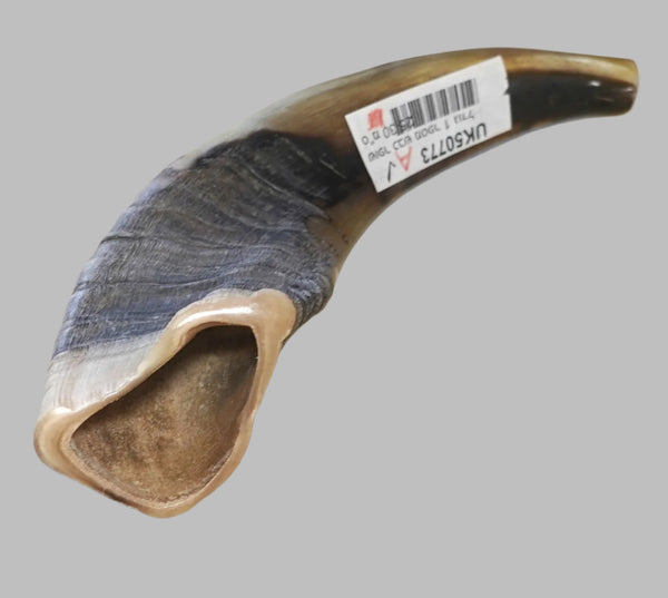 Judaica Shofar Kosher Ram's Horn High Quality Half Polished Natural 9 inch