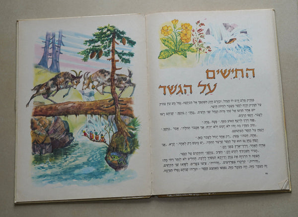 Aesop's and La Fontaine's Fables Hebrew Children's Book Hardcover 1977 Cremonini