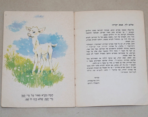 Ainsworth & Ridout A Name of My Own Children Book Vintage 1967 Hebrew Israel