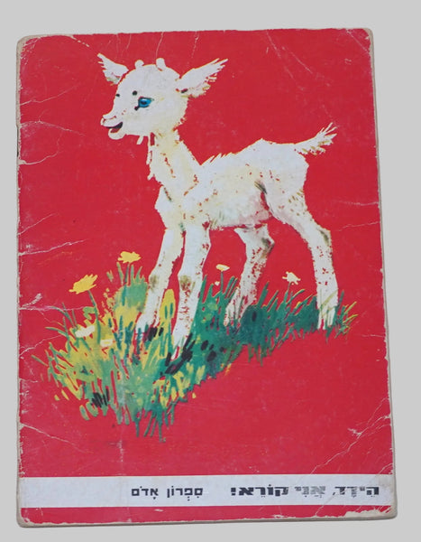 Ainsworth & Ridout A Name of My Own Children Book Vintage 1967 Hebrew Israel