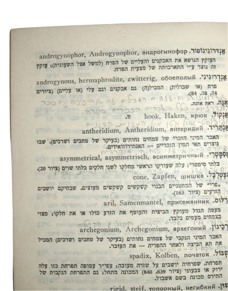 Analytical flora of Palestine Hebrew Flora of Israel Illustrated book 1965