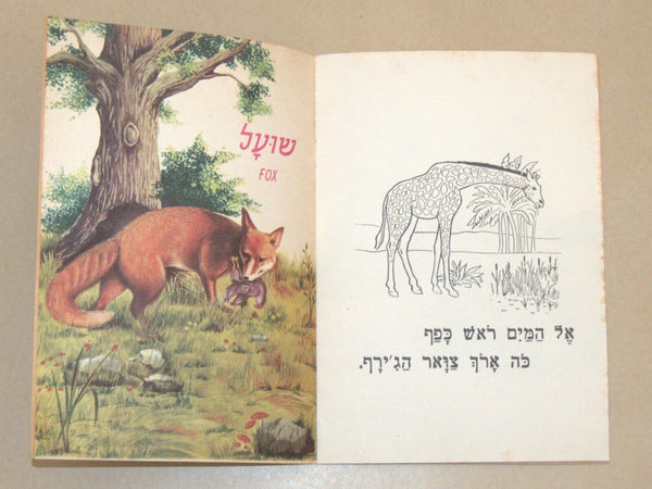 Animals World Children Story Book Vintage Hebrew Israel 1960's Naïve Drawings
