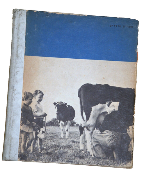 Astrid Lindgren Dirk Lives in Holland Children Story Book Vintage Hebrew 1970