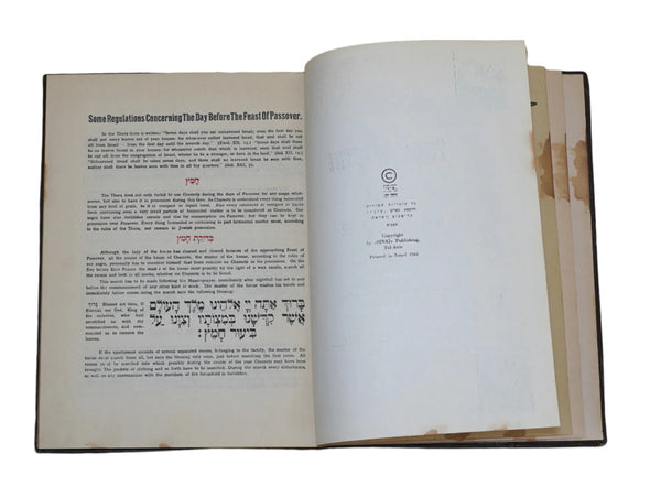 Judaica Pesach Passover Bezalel Plaque Raban Illustrated Haggadah 1961 Heb Eng