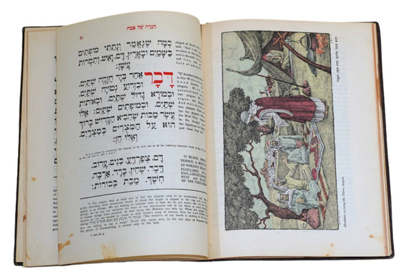 Judaica Pesach Passover Bezalel Plaque Raban Illustrated Haggadah 1961 Heb Eng