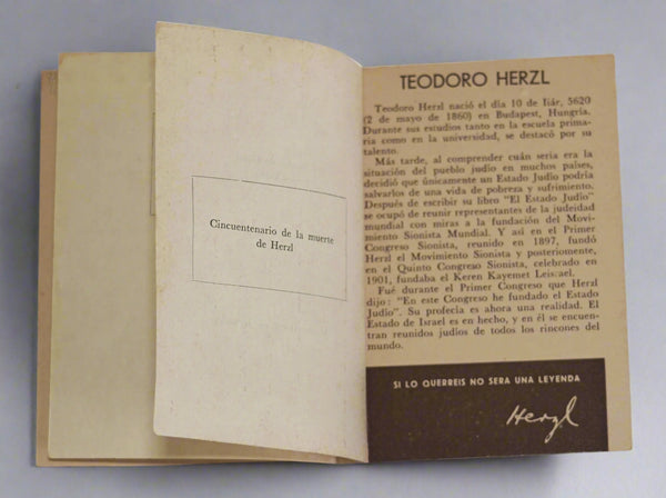 Lot of 2 Collectible Herzl Items 1954 Memorial Booklet Photo at Grave Vintage