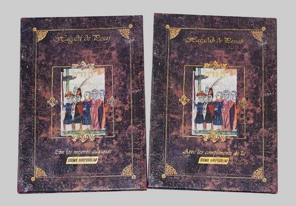 Lot of 2 Judaica Pesach Passover Illustrated Haggadah Israel French Spanish