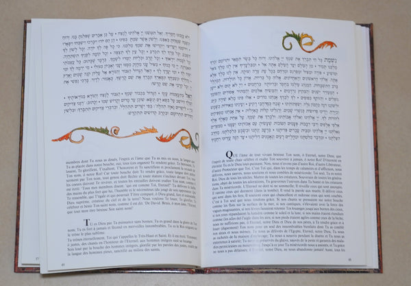 Lot of 2 Judaica Pesach Passover Illustrated Haggadah Israel French Spanish