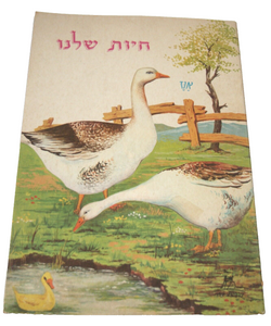 Our Animals Children Story Book Vintage Hebrew Israel 1960's Naïve Drawings