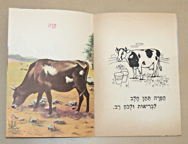 Our Animals Children Story Book Vintage Hebrew Israel 1960's Naïve Drawings