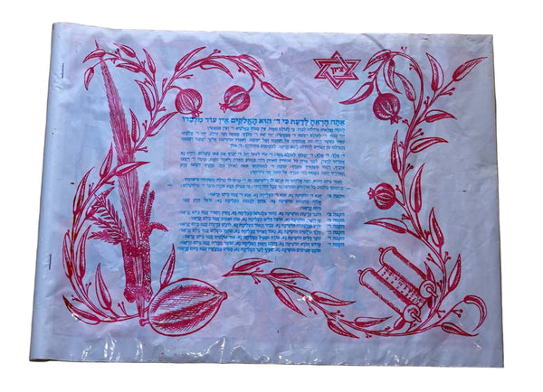 Traditional Plastic Nylon Simchat Torah Flag with Hakafot Prayers Vintage Judaica Israel 1960's