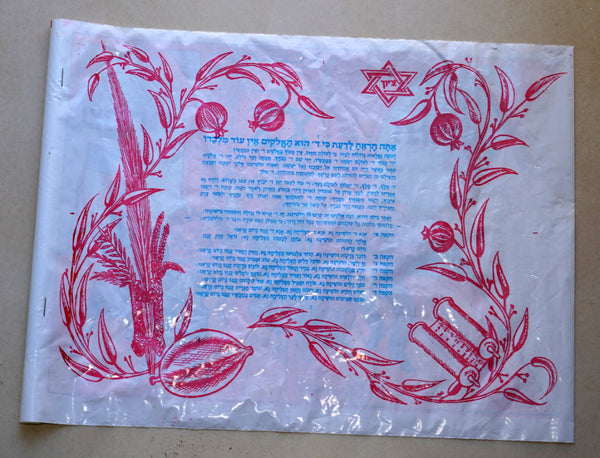 Traditional Plastic Nylon Simchat Torah Flag with Hakafot Prayers Vintage Judaica Israel 1960's