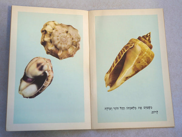 Vintage Hebrew Children Book Mount Edom Shell Legend Judaica Israel 1950's