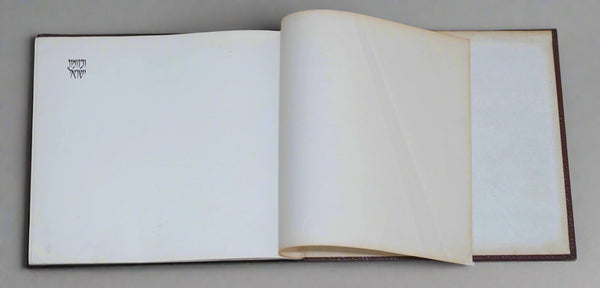 Vintage 1951 Book Israel Reborn Illustrated Hebrew English French Judaica