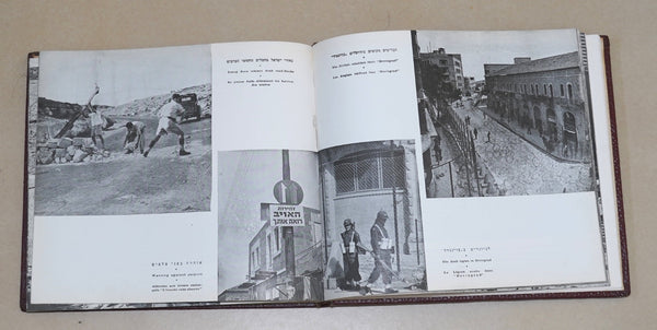 Vintage 1951 Book Israel Reborn Illustrated Hebrew English French Judaica