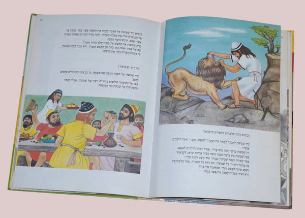 Heroes of the Bible 1985 Vintage Hebrew Children's Book Hechtkopf Illustrations