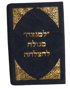 Judaica Kabbalah 2 Amulet Shiviti Segula Remedy Wealth & Success Lamenazeah