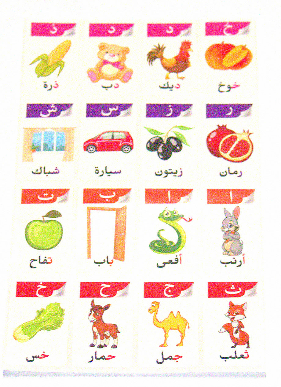 Learn Arabic Teaching Aid School Madrasa Children 160 Animal Fruit Stickers