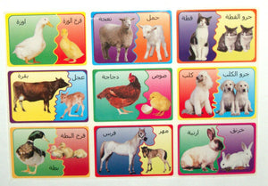 Arabic Teaching Aid School Madrasa Children 36 Animal Mother Child Cub Stickers
