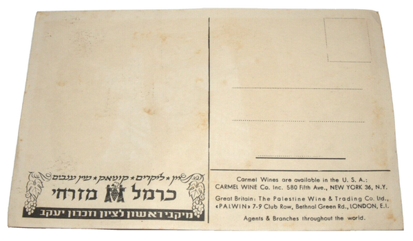 Vintage Carmel Winery NY Branch Advertising Postcard Judaica Israel Early 1960's